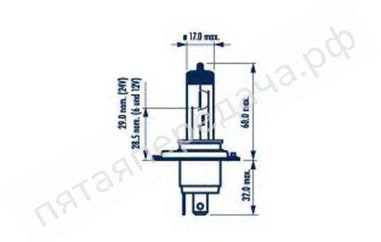 Лампа галоген H4 24В 75/70Вт, 1шт - 48898