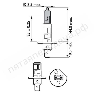 Лампа накаливания, в блистере Н1 WhiteVision 4300K, 1шт - 12258WHVB1