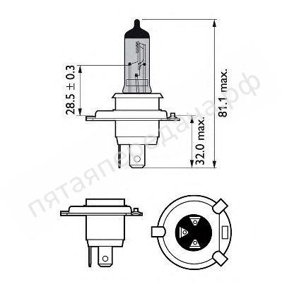 Лампа газоразрядная, H4 12В 60/55Вт - 12342BVUBW